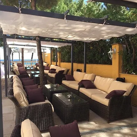 Pete 普拉加德阿罗