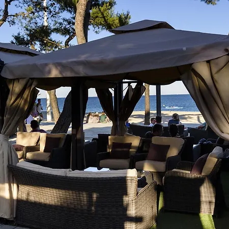 Pete 普拉加德阿罗